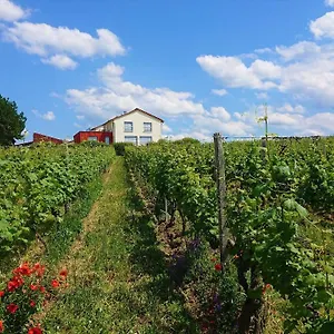 Weinbergshof Rickel , Kitzingen Deutschland