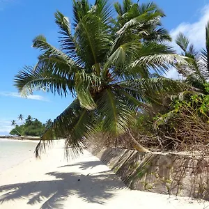 Hcs Turtle Bay Rustic , Au Cap Seychellen